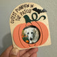 "Cutest Pumpkin In The Patch" Magnetic Photo Frame