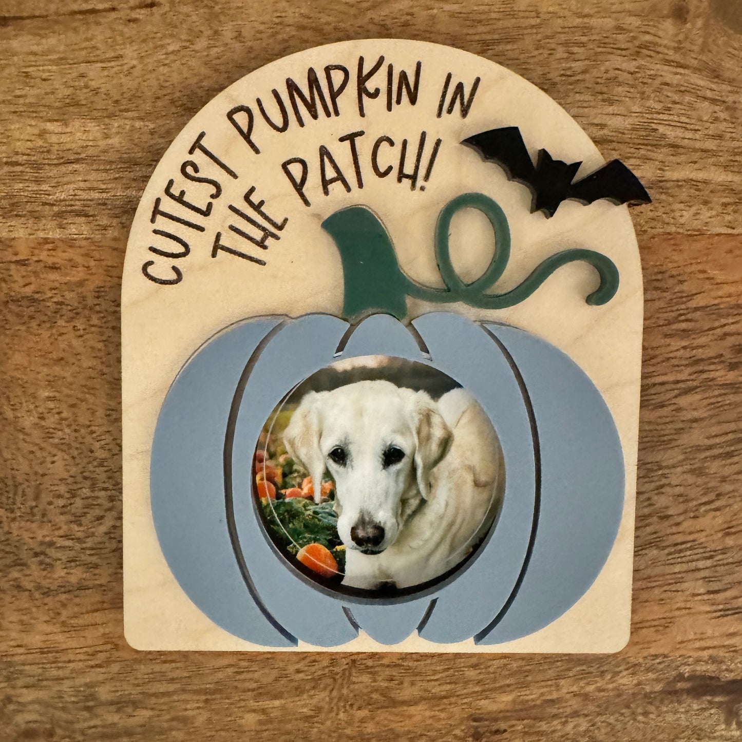 "Cutest Pumpkin In The Patch" Magnetic Photo Frame