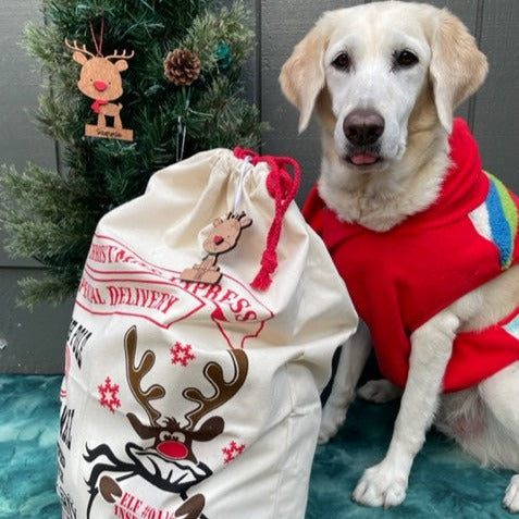 Christmas Santa Sack and Reindeer Tag/Ornament